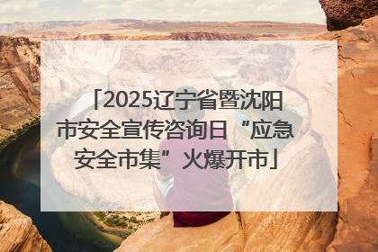 2025辽宁省暨沈阳市安全宣传咨询日“应急安全市集”火爆开市